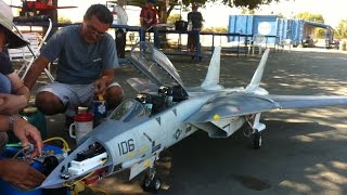 RC turbine jet F14 Scale Large [upl. by Eelyma469]