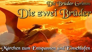 Die zwei Brüder  KHM 060  Hörbuch deutsch Märchen der Brüder Grimm [upl. by Muraida]