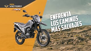 🔥VICTORY MRX 125 y 150🔥➡ 2 Nuevas MOTOS ENDURO cross de AUTECO MOBILITY con un precio sorprendente [upl. by Ayhtin]