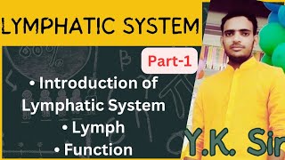 Lymphatic System in Hindi  Part1  Lymph  Function  YKSir [upl. by Lounge]