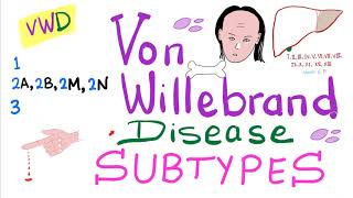 Von Willebrand Disease VWD Subtypes Type 1 2A 2B 2M 2N and 3 [upl. by Nhtanhoj]