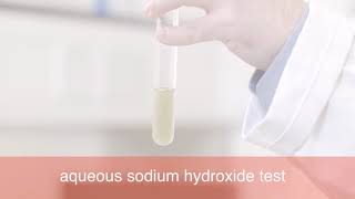 IGCSE Lab Tests for aqueous cations 1 [upl. by Cynth]