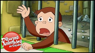 Jorge el Curioso en Español 🐵Compilación de 1 Hora 🐵 Capitulos completos del Mono Jorge [upl. by Lorollas]