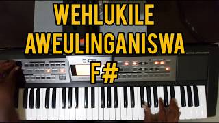 Song Tutorial Wehlukile Awulinganiswa in F [upl. by Ahsiner951]