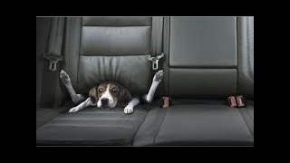 Best Car Commercials Ever  Greatest Car Ads All Time  The Used Car Guy [upl. by Cappello]