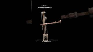 Producing toxic gasammonium hydroxideexperiment ammonia chemistry viralvideo hydrogenperoxide [upl. by Sou175]