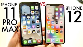 iPhone 11 Pro Max Vs iPhone 12 In 2024 Comparison Review [upl. by Byran821]