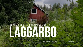 Laggarbo  The Food Forest Tour 2023 [upl. by Fairman]