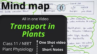 Transport in plants  Plant physiology NEET Class 11 Mind map One shot video Best revision for NEET [upl. by Lleoj]