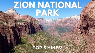 The Best Hikes in Zion National Park [upl. by Whitford]