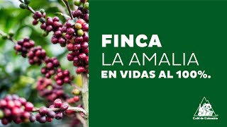 Finca La Amalia en Vidas al 100 [upl. by Eldoree]