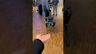 Boston Dynamics’ agile robot Spot up close on the Swiss Robotics Day droneindustry robots [upl. by Rech772]