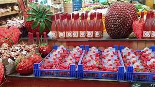 Köstliche Erdbeeren im Bauernmarkt auf dem Erlebnisbauernhof Gertrudenhof [upl. by Alleacim]