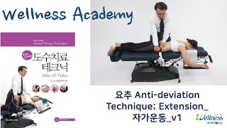 웰니스아카데미 도수치료요추 Anti deviation Technique Extension 자가운동 v1 [upl. by Diao]