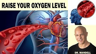 HOW TO NATURALLY RAISE OXYGEN BLOOD LEVELS FOR THE BRAIN HEART BODY  Dr Alan Mandell DC [upl. by Nnylak]