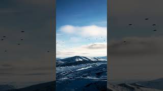 Antarctica A swarm of UAPUFOs were spotted over the Transantarctic Mountains today uap ufo dcs [upl. by Gorges]