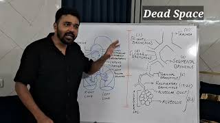 Conducting Zone  Dead Space  Respiratory Zone  Dr Krunal Dabhi [upl. by Benjamin296]