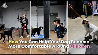 DogVlog 177 How You Can Help Your Dog Become More Comfortable Around Children [upl. by Jewelle]