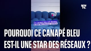 Comment un canapé bleu français est devenu la star des réseaux sociaux [upl. by Lud140]