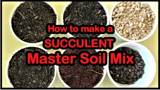 How to make a SUCCULENT MASTER SOIL MIX  Liz Kreate [upl. by Nnaassilem388]