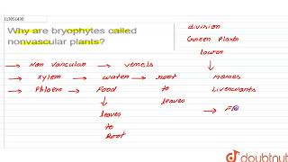 Why are bryophytes called nonvascular plants  CLASS 9  DIVERSITY IN THE LIVING WORLD  BIOLOG [upl. by Notrab]