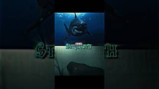 Otodus Megalodon Vs Titanoboa  Deinosuchus Vs Sarcosuchus  edit debate animal megalodon vs [upl. by Atiuqnahs]