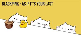 Bongo Cat  BLACKPINK quotAS IF ITS YOUR LASTquot KPOP [upl. by Arlo978]