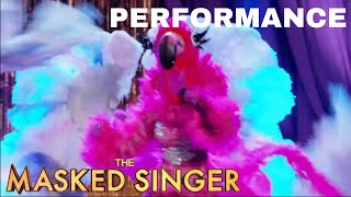 Flamingo sings “Lady Marmalade” by Patti LaBelle  The Masked Singer  Season 2 [upl. by Taite]