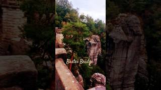 Bastei Bridge view 😍 nostalgic summerholiday relax nature birdssinging summershort summer☀️ [upl. by Swithin324]