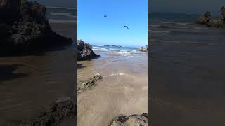 beach essaouira travel mogadortravel mogador morocco fish explore اكسبلور relles [upl. by Seigler]