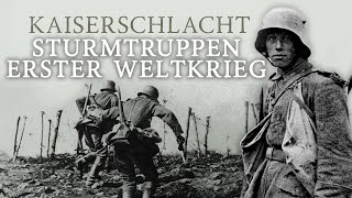 Der ERSTE WELTKRIEG  Die Geschichte der Sturmtruppen [upl. by Emmalyn]