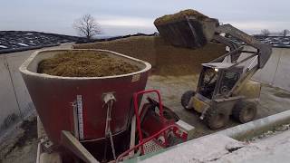 Mixing Feed for Dairy Cows [upl. by Drue528]