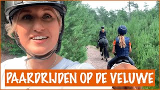 Keihard galopperen op de Veluwe  PaardenpraatTV [upl. by Perron]