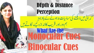 Depth perception in psychology What are Monocular and Binocular Cues wellnessbyfarah urduHindi [upl. by Ranita817]