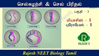 செல் சுழற்சி மற்றும் செல் பிரிதல்  மியாசிஸ் cell cycle and cell division meiosis I [upl. by Adnac]