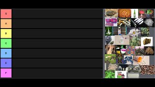 My drug tier list ranking 33 substances [upl. by Cirad]