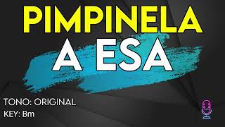 Pimpinela  A Esa  Karaoke Instrumental [upl. by Notwen348]