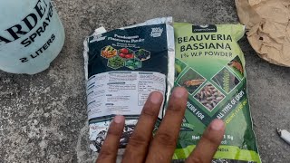 Beauveria Bassiana And Pseudomonas Fluorescens Powder  Bio Fungicide for Seeds amp Home Garden Plants [upl. by Nesilla]