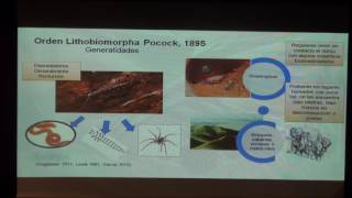 Los ciempiés del Orden Lithobiomorpha en Colombia especies introducidas potencialmente invasoras [upl. by Monaco809]