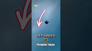 JET Speed VS Peregrine Falcon [upl. by Henson]