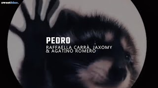 la canción de pedro  PEDRO  Raffaella Carrà Jaxomy Agatino Romero Remix TikTok  Sub Español [upl. by Leoj]