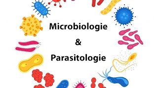 Parasitologie  Cours microbiologie parasitologie  IFCSISPITS [upl. by Nigle803]