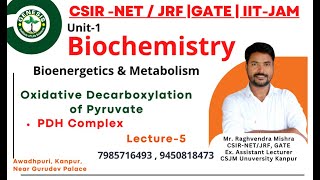 Oxidative Decarboxylation of Pyruvate  PDH Complex  Metabolism  Biochemistry [upl. by Naihtniroc]