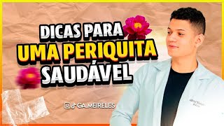 10 dicas para uma periquita mais saudável  Gabriel meireles [upl. by Anirec]