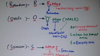 Mnemonic for Foramena Ovale  Structure passing throug it [upl. by Lynelle830]