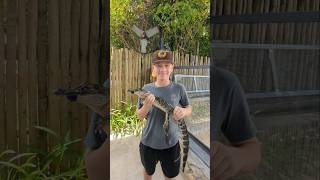 Holding a gator at Everglades alligator farm 91824 [upl. by Averyl]