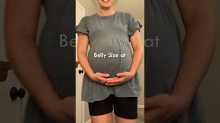 38 weeks pregnant belly bellyprogression [upl. by Taam200]