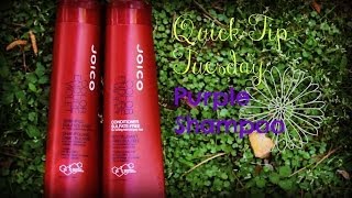 What Does Purple Shampoo Do How to Help Brassy Blonde Hair Quick Tip Tuesday [upl. by Padriac714]