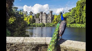 JOHNSTOWN CASTLE  Gothic Revival Castle Co Wexford Ireland [upl. by Nauq]