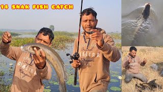 मछली को कैसे दबा लिया गया 😱  Fishing  shorts fishingvideo fish ytshorts [upl. by Goerke636]